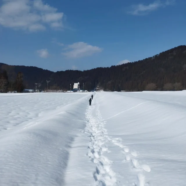 豪雪だった鳥越も
今日は気温が上がって雪解けもよう。
でもまだまだ雪深いので
カンジキはいて雪原を散歩。
ウサギやキツネが見られるということで
探しに行ったのですが、
続々と見つかるナゾの足跡👣
歩いているところを見たかったな〜
最後はお宮さんまでダッシュで競走。
めちゃめちゃ下半身の筋肉が鍛えられましたw

#フリースクール #自然学校 #自然の中で学ぶ #不登校 #楽しい学校 #教育 #学校教育 #石川県フリースクール #金沢市フリースクール #石川県 #金沢 #白山市 #里山の暮らし #大雪 #豪雪 #冬散歩 #雪遊び #ワンネススクール