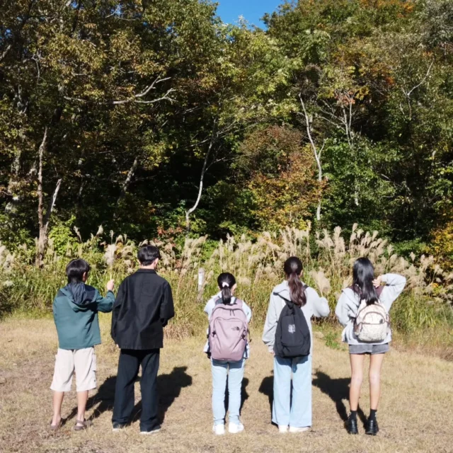 秋の山歩き🍄
紅葉を見に行きました。
暖かな日差し
ひんやりした風
綺麗な樹木
美味しい空気
ひなたに鹿がゴロゴロした跡。
ゴロゴロしたくなる気持ちがよくわかる。
人間も自然の一部なんだな。

#フリースクール #自然学校 #自然の中で学ぶ #不登校 #楽しい学校 #教育 #学校教育 #石川県フリースクール #金沢市フリースクール #石川県 #金沢 #白山市 #里山の暮らし #紅葉 #登山 #山歩き